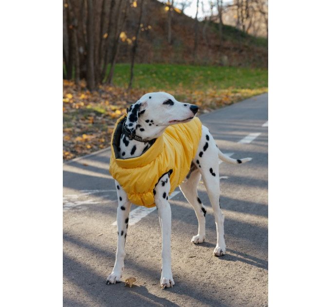 Двосторонній жилет для собак Diego sport double Хакі-жовтий розмір 7
