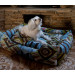 Лежак для собак Diego Rest+ Узор разноцветный, 60*40см