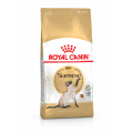 Royal Canin Siamese Adult Сухой корм для сиамской кошки 0,4кг