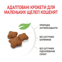 Royal Canin Kitten Sterilised Сухой корм для стерилизованных котят до 12 месяцев 0,4кг