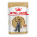 Паучі Royal Canin British Shorthair Adult для британських кішок 85г