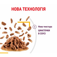 Паучі Royal Canin Sensory Smell Gravy для котів вибагливих до аромату, шматочки в соусі 85г