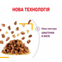 Паучі Royal Canin Sensory Taste Jelly для котів вибагливих до смаку, шматочки в желе 85г