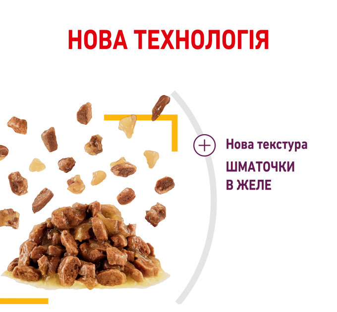 Паучі Royal Canin Sensory Taste Jelly для котів вибагливих до смаку, шматочки в желе 85г