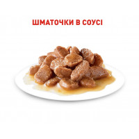 Паучи Royal Canin Instinctive Sauce для кошек, кусочки в соусе 85г