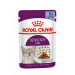 Паучі Royal Canin Sensory Feel Jelly для вибагливих котів, шматочки в желе 85г