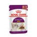 Паучі Royal Canin Sensory Smell Gravy для котів вибагливих до аромату, шматочки в соусі 85г