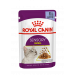 Паучі Royal Canin Sensory Smell Jelly для котів вибагливих до аромату, шматочки в желе 85г