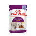 Паучі Royal Canin Sensory Taste Jelly для котів вибагливих до смаку, шматочки в желе 85г