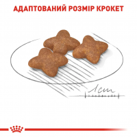 Royal Canin Mini Adult Сухий корм для дорослих собак малих порід 0,8 кг