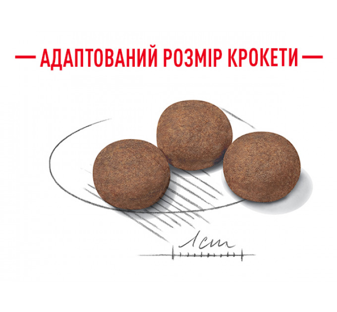 Royal Canin Medium Puppy Сухий корм для цуценят середніх порід 1 кг