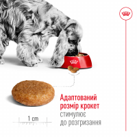 Royal Canin Medium Adult Сухий корм для дорослих собак середніх порід 4 кг