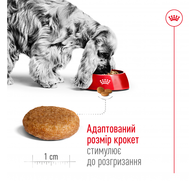 Royal Canin Medium Adult Сухий корм для дорослих собак середніх порід 15 кг