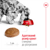 Royal Canin Medium Adult 7+ Сухий корм для дорослих собак середніх порід старше 7 років 4 кг