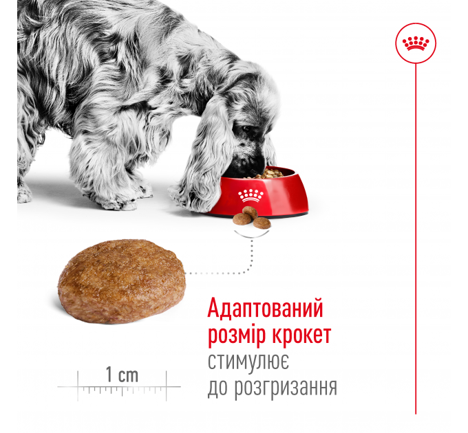 Royal Canin Medium Adult 7+ Сухой корм для взрослых собак средних пород старше 7 лет 4 кг