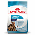 Royal Canin Maxi Starter Сухий корм для цуценят та годуючих собак великих порід 4 кг