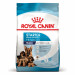 Royal Canin Maxi Starter Сухий корм для цуценят та годуючих собак великих порід 4 кг