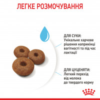 Royal Canin Maxi Starter Сухий корм для цуценят та годуючих собак великих порід 4 кг