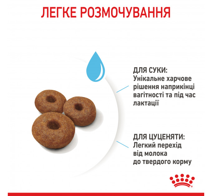 Royal Canin Maxi Starter Сухий корм для цуценят та годуючих собак великих порід 4 кг