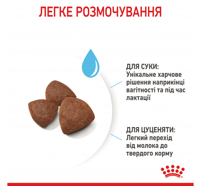 Royal Canin Medium Starter Сухий корм для цуценят та годуючих собак середніх порід 1 кг