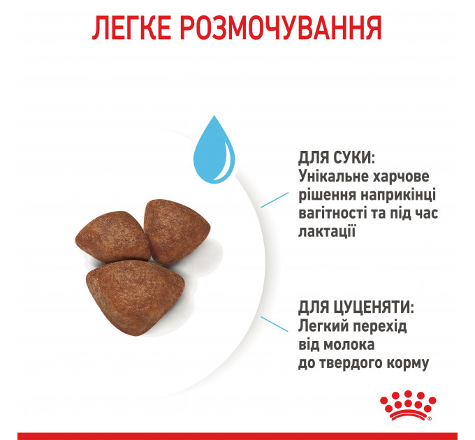 Royal Canin Mini Starter Сухий корм для цуценят та годуючих собак малих порід 1 кг